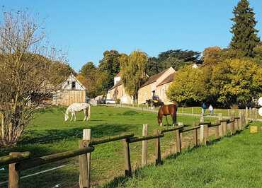 Chambre d'hôtes BOISEMONT "La Ferme Rose" N°30043